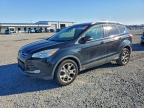 Lot #3297007355 2014 FORD ESCAPE TIT