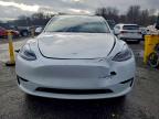 Lot #3308337053 2023 TESLA MODEL Y