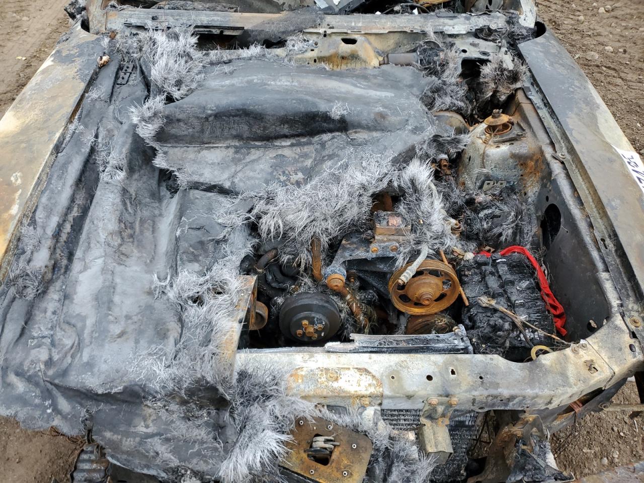 Lot #3297146490 1994 FORD MUSTANG CO