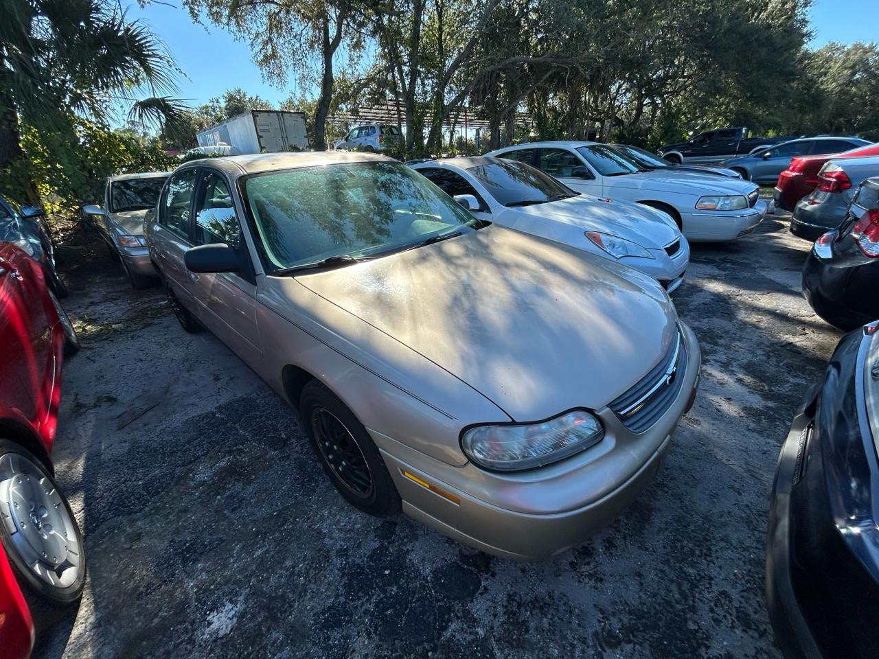 Lot #3287313994 2005 CHEVROLET CLASSIC