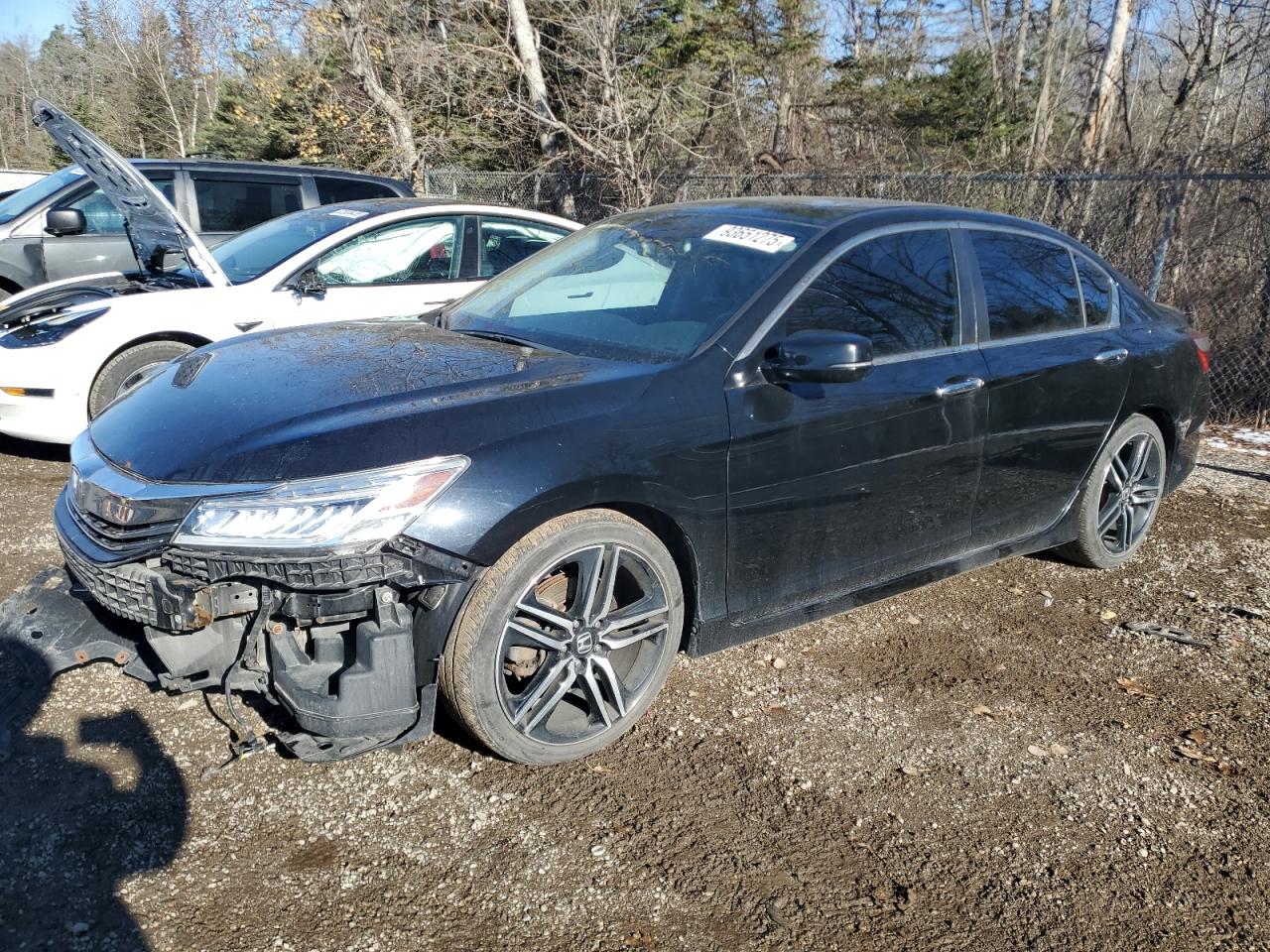 HONDA ACCORD EX