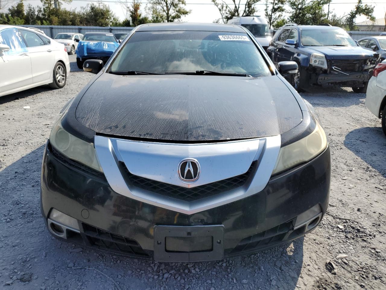 Lot #3293291489 2009 ACURA TL