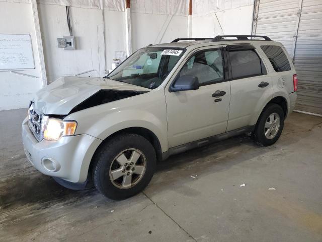 Global Auto Auctions: 2009 FORD ESCAPE XLT