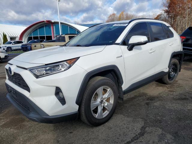 2021 TOYOTA RAV4 XLE #3302761344