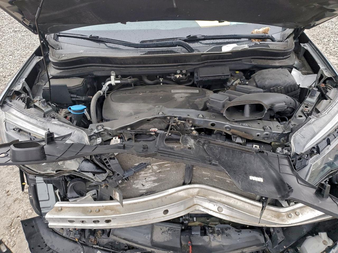 Lot #3310321999 2019 HONDA RIDGELINE