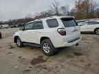 Lot #3298029163 2017 TOYOTA 4RUNNER SR