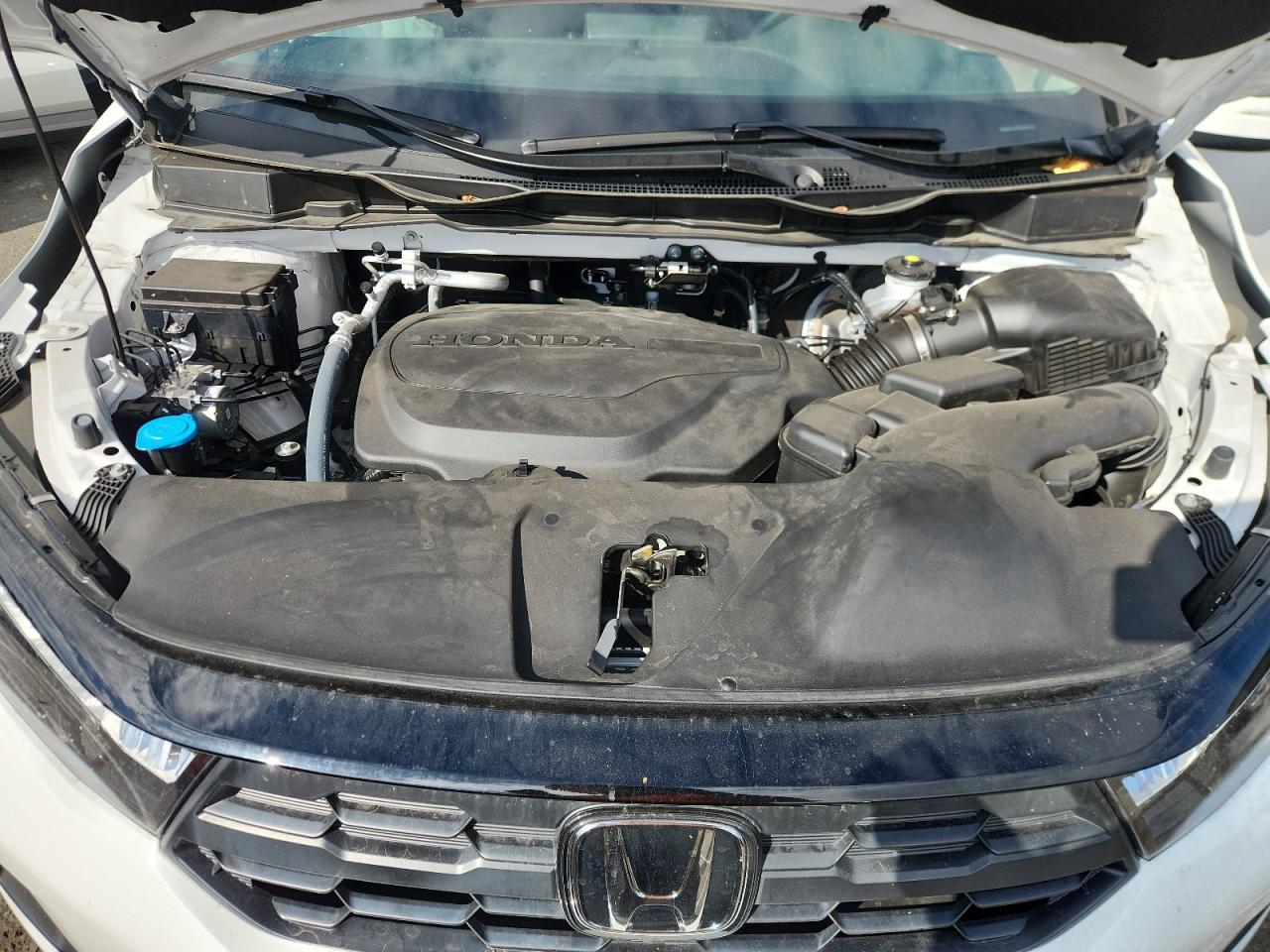 Lot #3304889540 2025 HONDA ODYSSEY EX