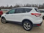 Lot #3305308363 2015 FORD ESCAPE SE