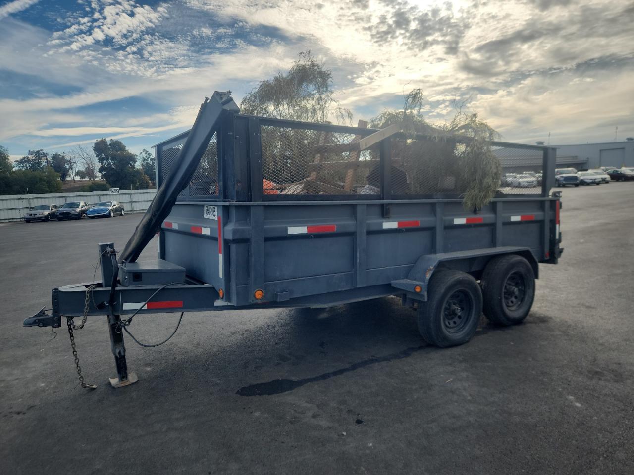 Lot #3315929129 2019 LDTR DUMP