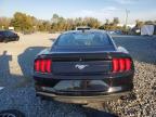 Lot #3294301898 2021 FORD MUSTANG
