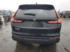 Lot #3308323204 2025 HONDA CR-V EX