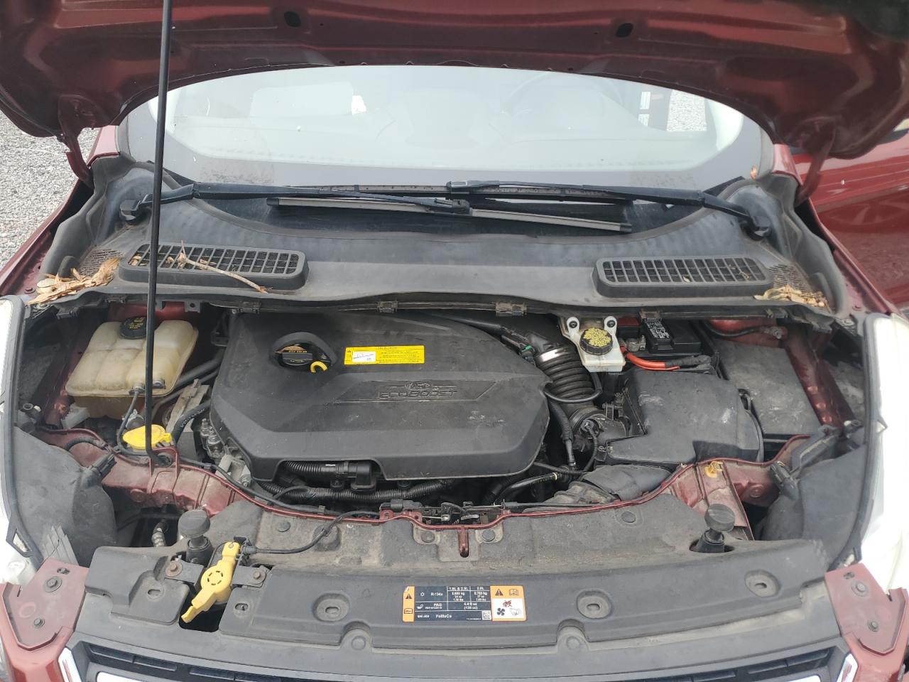 FORD ESCAPE TITANIUM