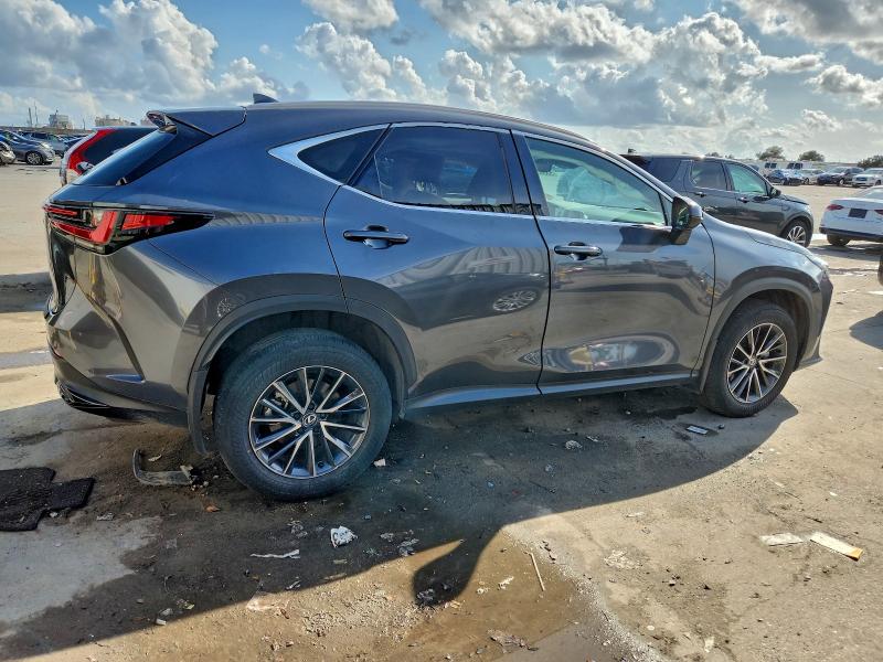 2024 LEXUS NX 250 PRE #3304715939