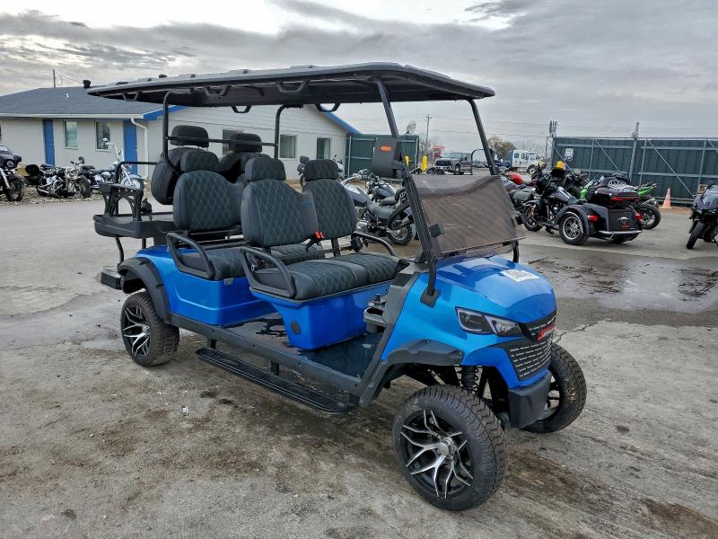 Global Auto Auctions: 2024 OTHER GOLF CART