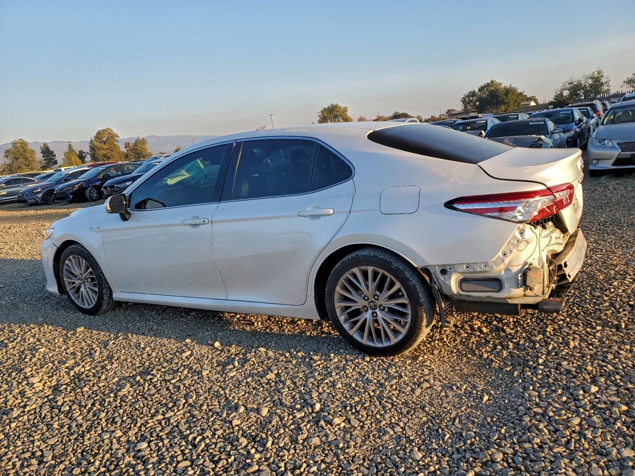 TOYOTA CAMRY HYBRID