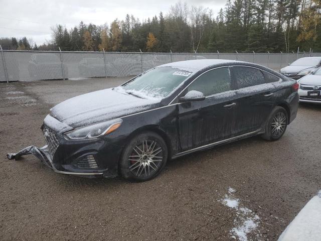 Global Auto Auctions: 2019 HYUNDAI SONATA LIM