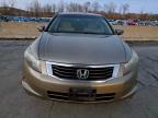 Lot #3301603686 2009 HONDA ACCORD EX