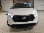 Lot #3303931711 2025 HONDA CR-V EX