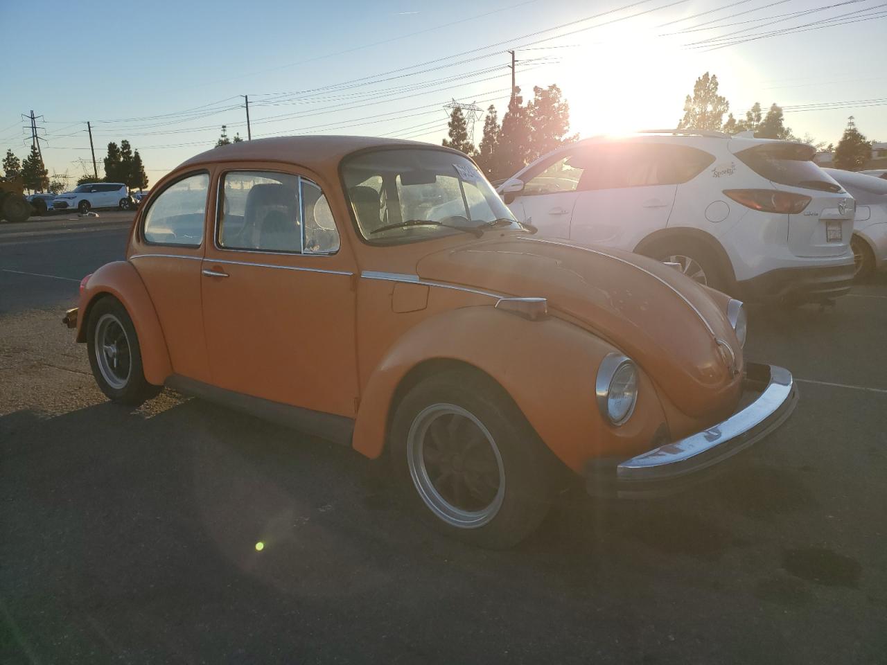Lot #3284000801 1974 VOLKSWAGEN BEETLE