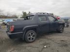 Lot #3303879738 2014 HONDA RIDGELINE