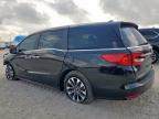 Lot #3293273419 2024 HONDA ODYSSEY EX