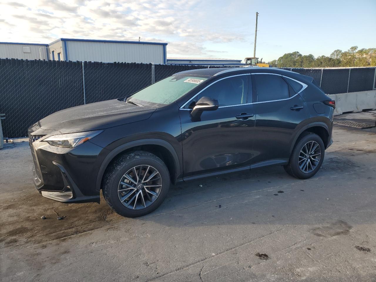 LEXUS NX 250 BASE
