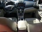 Lot #3296953907 2014 FORD C-MAX SEL