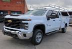 Lot #3304616443 2024 CHEVROLET SILVERADO