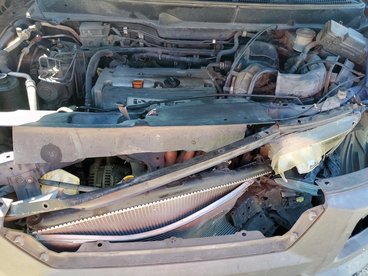 Lot #3304873539 2003 HONDA ELEMENT EX