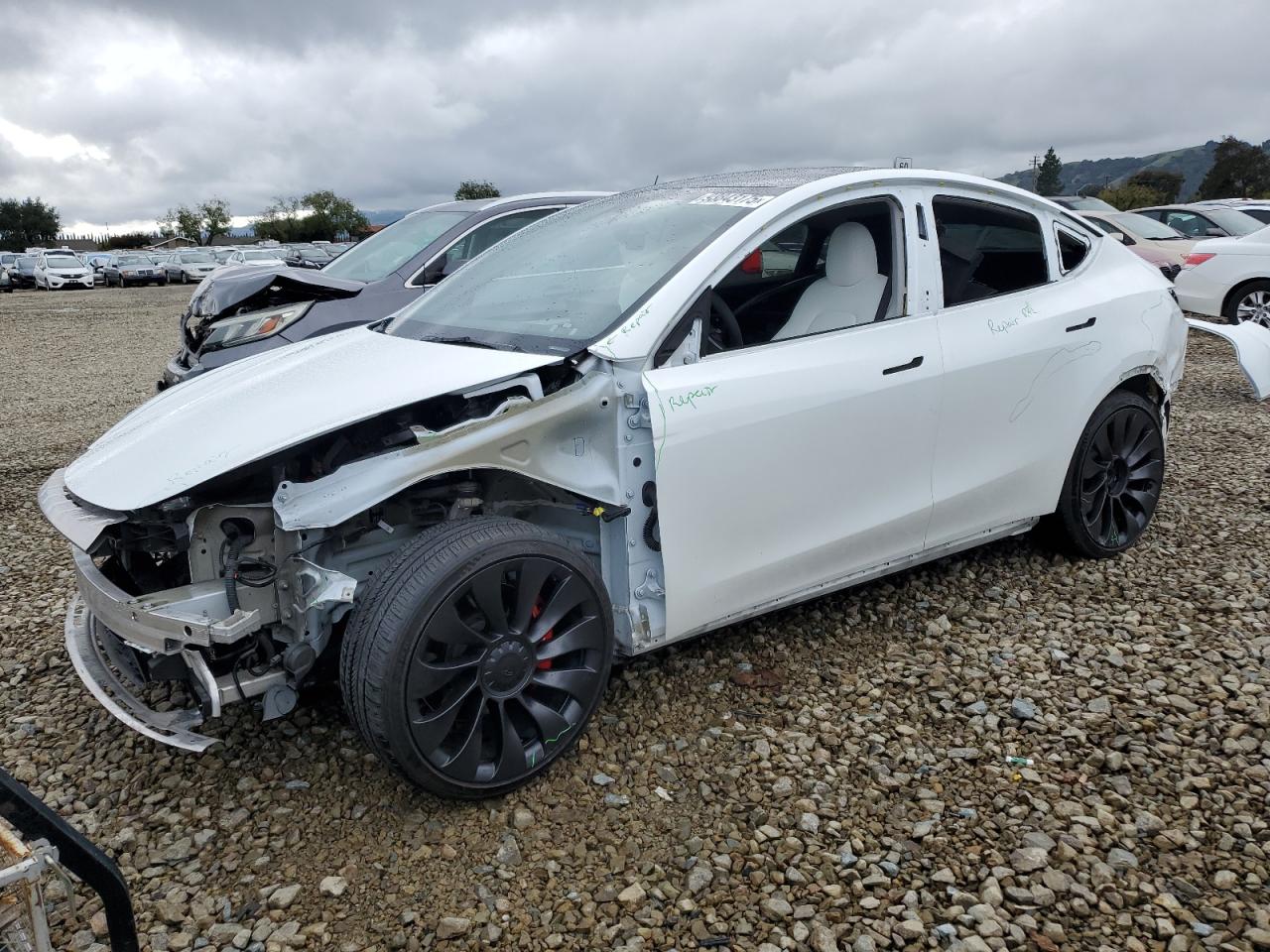 Lot #3309649987 2023 TESLA MODEL Y