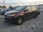 Lot #3304750930 2011 KIA SORENTO