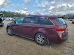 Lot #3297928788 2014 HONDA ODYSSEY EX
