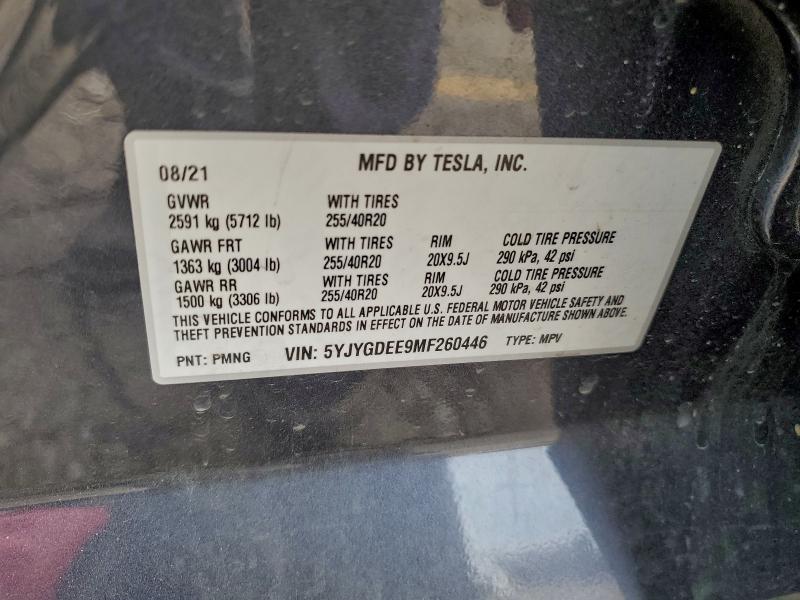 2021 TESLA MODEL Y #3303755441