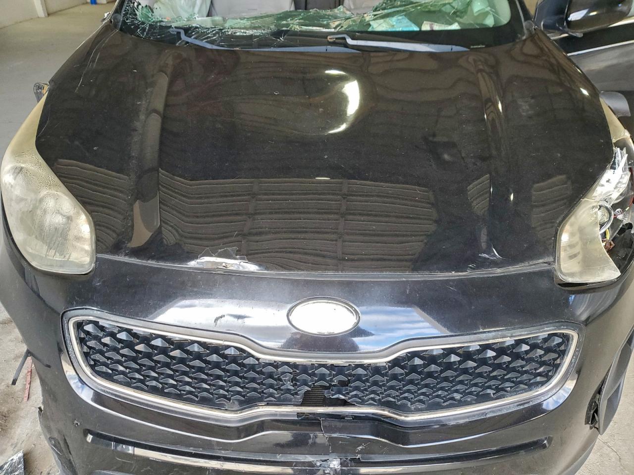 Lot #3311530270 2017 KIA SPORTAGE L