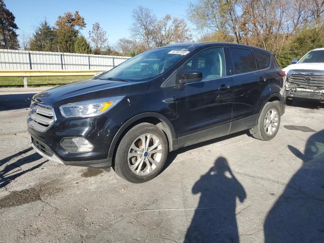 Global Auto Auctions: 2019 FORD ESCAPE SE