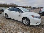 Lot #3304667916 2011 LEXUS HS 250H