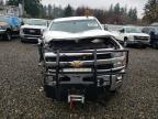 Lot #3305655735 2016 CHEVROLET SILVERADO
