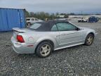 Lot #3305353344 2003 FORD MUSTANG