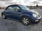 Lot #3309800335 2003 VOLKSWAGEN NEW BEETLE