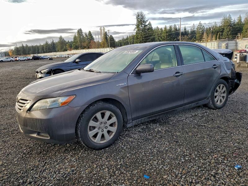 2009 TOYOTA CAMRY HYBR #3311816192