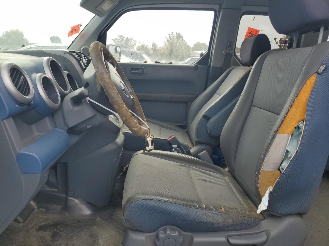 Lot #3290240214 2005 HONDA ELEMENT EX