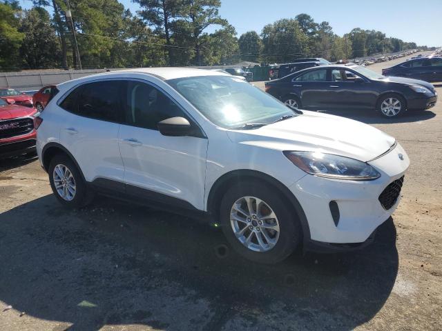 2022 FORD ESCAPE SE #3280469140