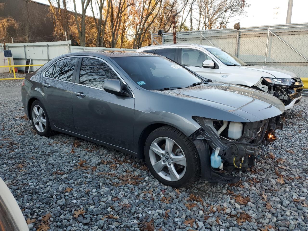 Lot #3304538462 2009 ACURA TSX