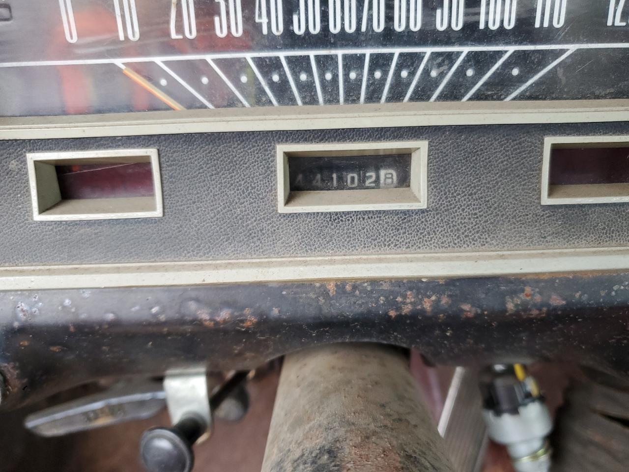 Lot #3278931067 1965 FORD MUSTANG