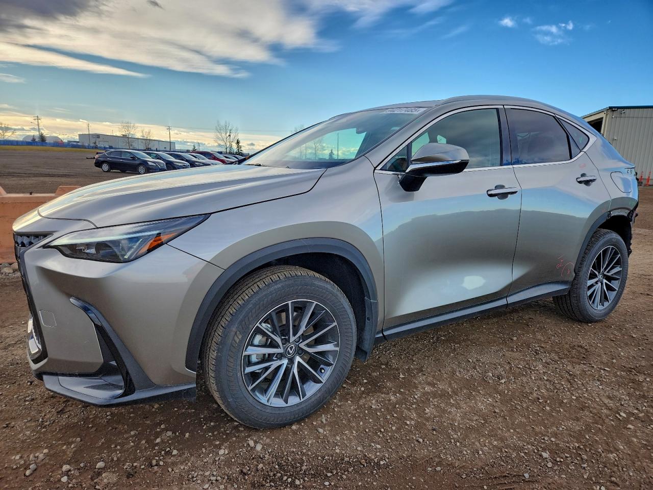 LEXUS NX 350H BASE