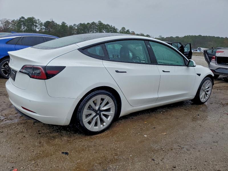 2022 TESLA MODEL 3 #3304602446