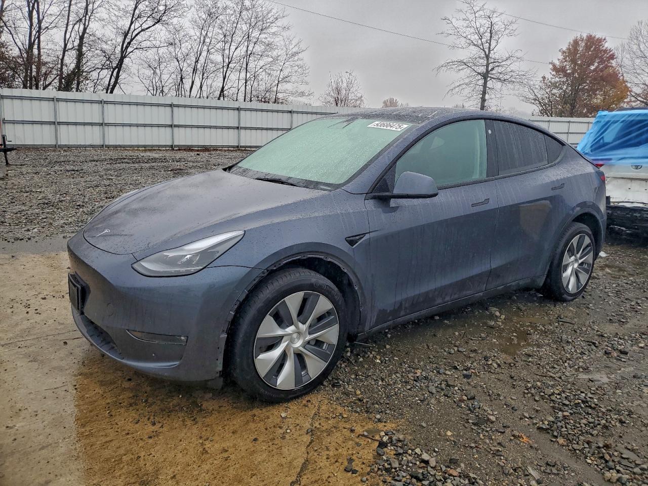 Lot #3301818347 2023 TESLA MODEL Y