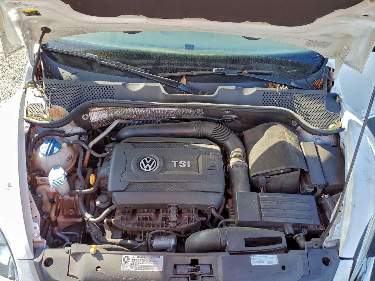 VOLKSWAGEN BEETLE SE