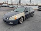 Lot #3296911872 2004 HONDA ACCORD EX