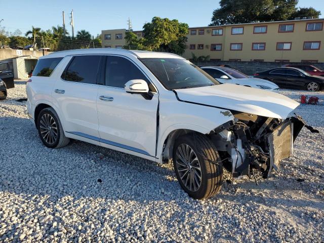 2023 HYUNDAI PALISADE C #3301751350